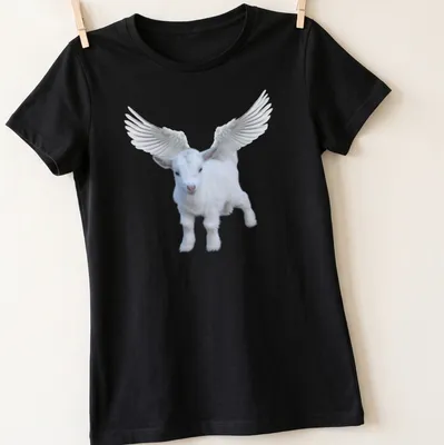 Realistic illustration of an angel goat with wings and text about perfection — printed on a women's shirt