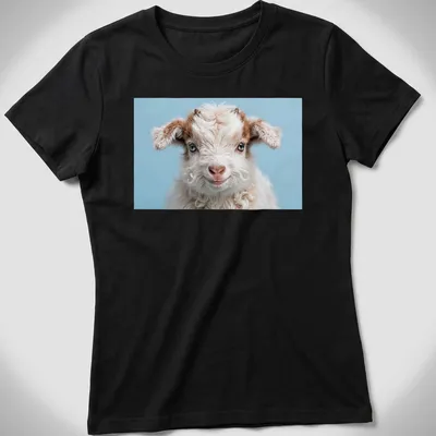 Photorealistic t-shirt design featuring a playful baby goat in white and brown against a light blue background. — printed on a women's shirt