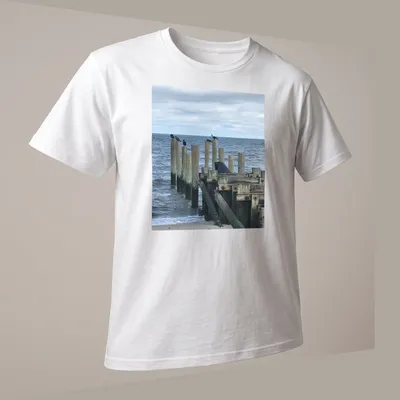 Photographic t-shirt featuring birds on wooden posts with the text Calling All Bird Friends. — printed on a unisex t-shirt (angled view)