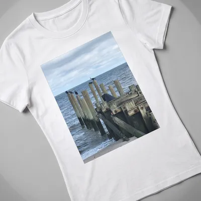 Photographic t-shirt featuring birds on wooden posts with the text Calling All Bird Friends. — printed on a women's shirt