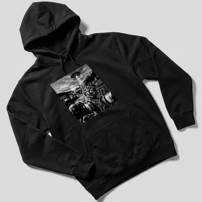 Retro graphic of a cat taking a selfie in front of a UFO in black, white, and gray — printed on a unisex hoodie
