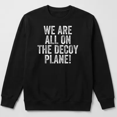 Distressed graphic featuring a decoy plane and playful text. — printed on a unisex sweatshirt