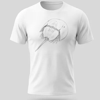 Detailed sketch of a horseshoe crab in shades of gray, black, and white