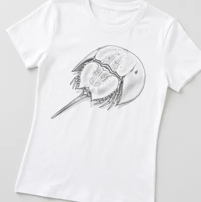 Detailed sketch of a horseshoe crab in shades of gray, black, and white — printed on a women's shirt