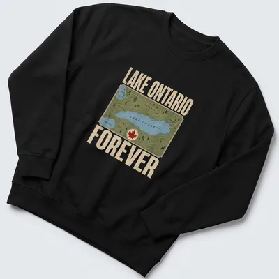 Vintage map graphic of Lake Ontario with text 'Lake Ontario Forever' in blue, green, beige, and red. — printed on a unisex sweatshirt