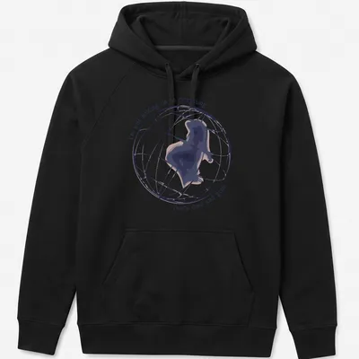 Minimalist T-shirt with abstract globe silhouette and melancholy lyrics — printed on a unisex hoodie