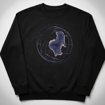 Minimalist T-shirt with abstract globe silhouette and melancholy lyrics — printed on a unisex sweatshirt