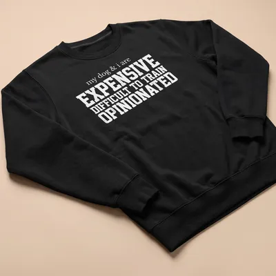 Bold typography t-shirt featuring humorous text about dogs and training. — printed on a unisex sweatshirt