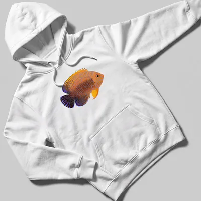 Illustrative Potter's Angelfish t-shirt featuring vibrant orange and blue colors — printed on a unisex hoodie