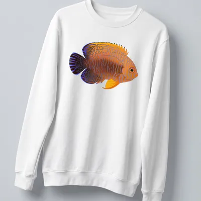 Illustrative Potter's Angelfish t-shirt featuring vibrant orange and blue colors — printed on a unisex sweatshirt