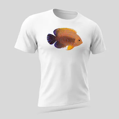 Illustrative Potter's Angelfish t-shirt featuring vibrant orange and blue colors — printed on a unisex t-shirt (angled view)