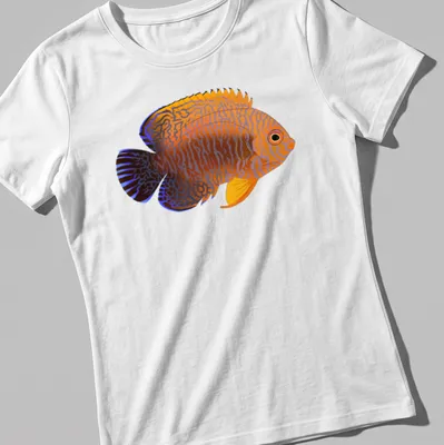 Illustrative Potter's Angelfish t-shirt featuring vibrant orange and blue colors — printed on a women's shirt