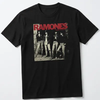 Vintage album cover print featuring Ramones band members with bold text